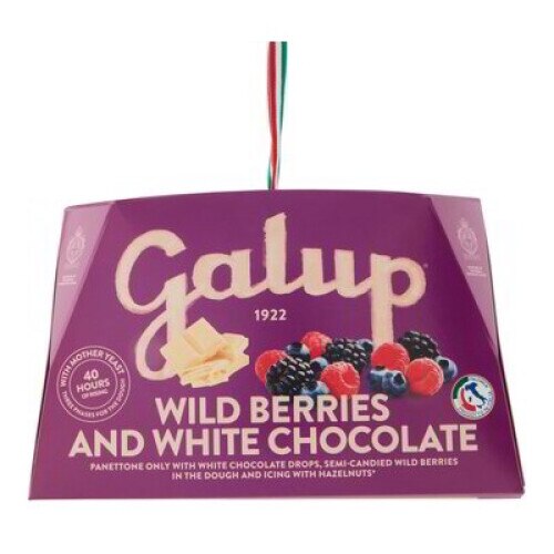 Panettone Frutti di Bosco e Cioccolato Bianco, Galup, 750g, Made in Italy